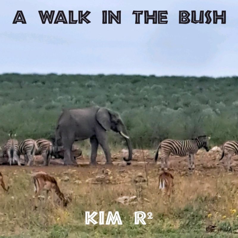 A Walk in the Bush